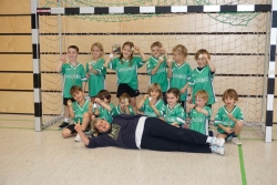 Turnier der Handball-Minis in Nebringen