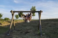 Jugendturnier15_265