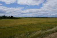Jugendturnier17_173